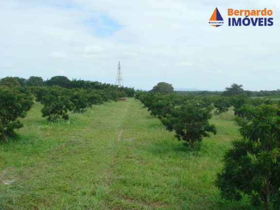 Imagem Fazenda à Venda, 443 m² em Guanaces - Cascavel Imagem Fazenda à Venda, 443 m² em Guanaces - Cascavel