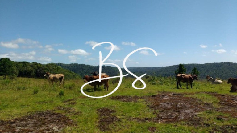 Imagem Terreno à Venda, 600.000 m² em Mato Queimado - Gramado