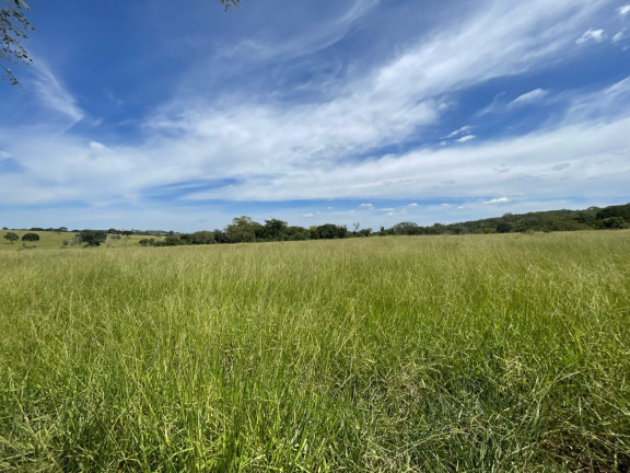 Imagem Fazenda à Venda, 1.530 m² em Zona Rural - Caldas Novas Imagem Fazenda à Venda, 1.530 m² em Zona Rural - Caldas Novas