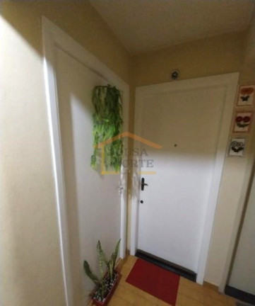 Imagem Apartamento com 2 Quartos à Venda, 56 m² em Vila Mazzei - São Paulo Imagem Apartamento com 2 Quartos à Venda, 56 m² em Vila Mazzei - São Paulo