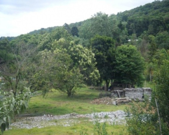 Imagem Terreno à Venda, 6.467 m² em Piá - Nova Petrópolis Imagem Terreno à Venda, 6.467 m² em Piá - Nova Petrópolis