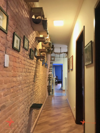 Imagem Casa com 3 Quartos à Venda, 173 m² em Jabaquara - São Paulo Imagem Casa com 3 Quartos à Venda, 173 m² em Jabaquara - São Paulo