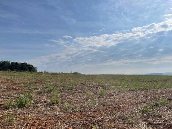 Imagem Fazenda à Venda, 38 m² em Rural - Piraju Imagem Fazenda à Venda, 38 m² em Rural - Piraju