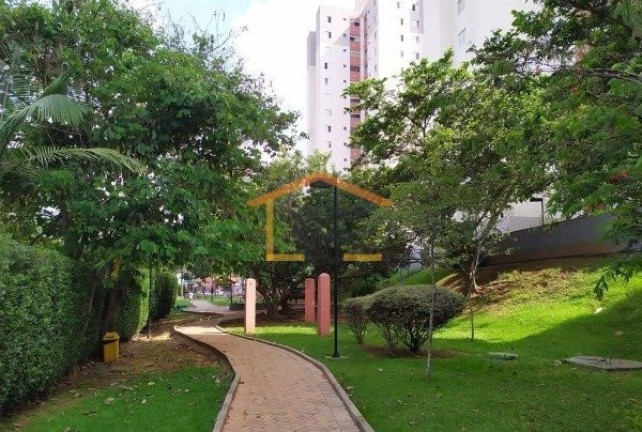 Imagem Apartamento com 3 Quartos à Venda, 70 m² em Vila Nova Cachoeirinha - São Paulo Imagem Apartamento com 3 Quartos à Venda, 70 m² em Vila Nova Cachoeirinha - São Paulo
