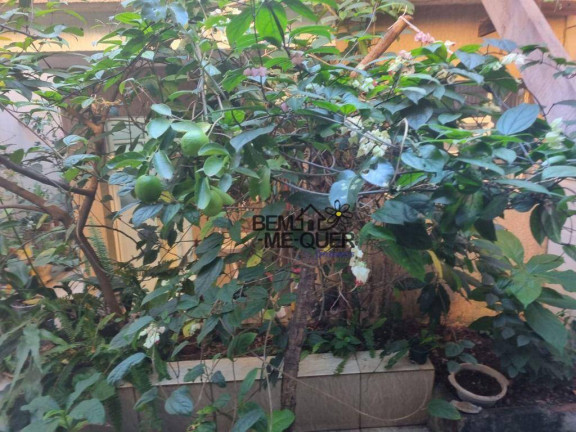 Imagem Sobrado com 3 Quartos à Venda, 151 m² em Jardim Vista Linda - São Paulo Imagem Sobrado com 3 Quartos à Venda, 151 m² em Jardim Vista Linda - São Paulo