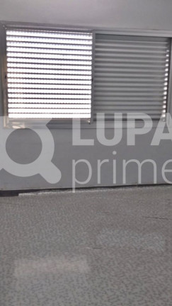 Imagem Apartamento com 3 Quartos para Alugar, 70 m² em Vila Maria - São Paulo Imagem Apartamento com 3 Quartos para Alugar, 70 m² em Vila Maria - São Paulo