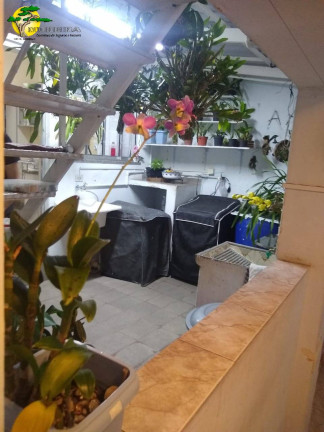 Imagem Casa com 2 Quartos à Venda, 140 m² em Lauzane Paulista - São Paulo Imagem Casa com 2 Quartos à Venda, 140 m² em Lauzane Paulista - São Paulo
