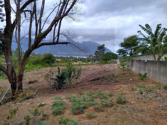 Terreno à Venda, 8.271 m² em Barequeçaba - São Sebastião
