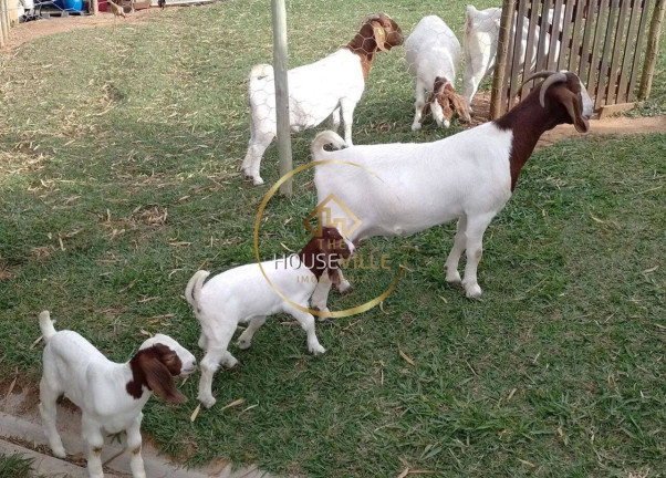 Imagem Chácara com 2 Quartos à Venda, 12 m² em Salto - Paraibuna Imagem Chácara com 2 Quartos à Venda, 12 m² em Salto - Paraibuna