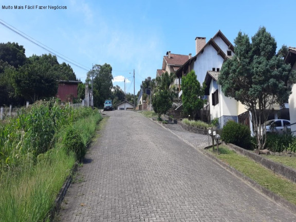Imagem Terreno à Venda, 420 m² em Logradouro - Nova Petrópolis Imagem Terreno à Venda, 420 m² em Logradouro - Nova Petrópolis