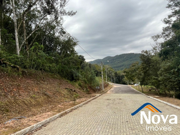 Imagem Terreno à Venda, 509 m² em Joaneta - Picada Café Imagem Terreno à Venda, 509 m² em Joaneta - Picada Café