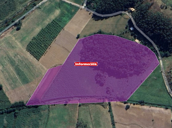 Imagem Imóvel com 3 Quartos à Venda, 70.000 m² em Pedra Lisa - Japeri