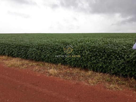 Imagem Imóvel com 3 Quartos à Venda, 17.897 m² em Zona Rural - água Boa Imagem Imóvel com 3 Quartos à Venda, 17.897 m² em Zona Rural - água Boa