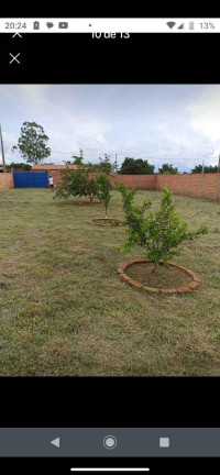 Imagem Imóvel com 3 Quartos à Venda, 1.000 m² em Loteamento Amaro Padilha - Tatuí