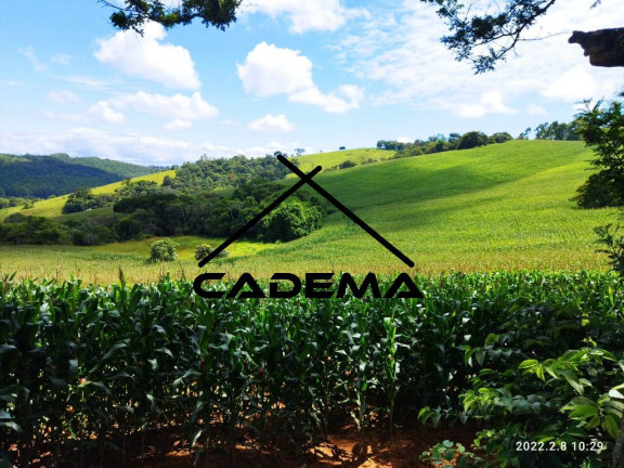 Imagem Fazenda à Venda, 60 m² em Zona Rural - Monte Sião