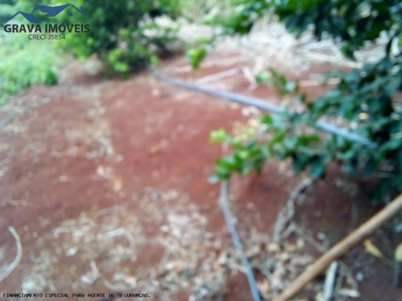 Imagem Chácara com 2 Quartos à Venda, 14.000 m² em Estrada Santa Fe - Marialva