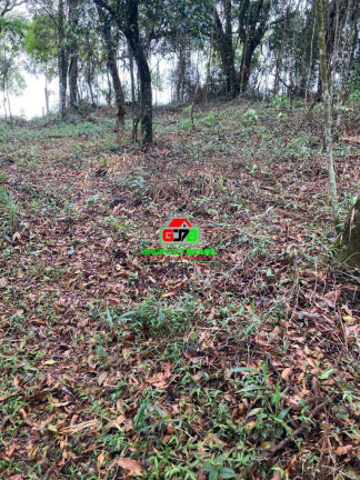 Imagem Chácara à Venda, 13 m² em São Francisco Xavier - São José Dos Campos Imagem Chácara à Venda, 13 m² em São Francisco Xavier - São José Dos Campos