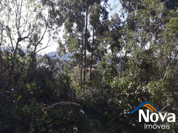 Imagem Imóvel com 3 Quartos à Venda, 159 m² em Pousada Da Neve - Nova Petrópolis
