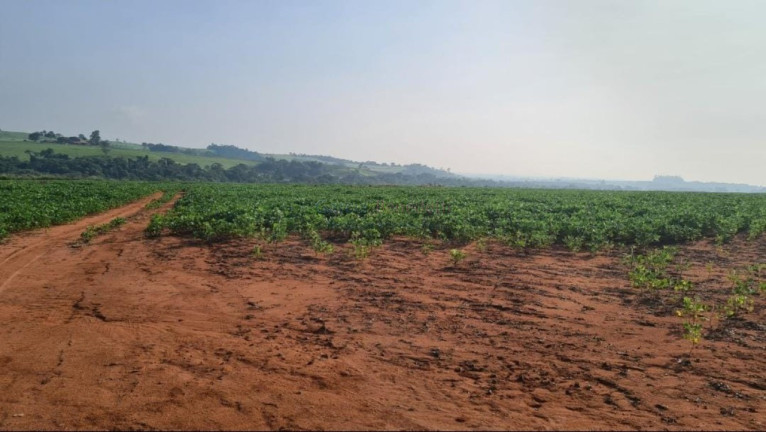 Imagem Imóvel à Venda, 895.400 m² em Vale San Fernando - Itapetininga Imagem Imóvel à Venda, 895.400 m² em Vale San Fernando - Itapetininga