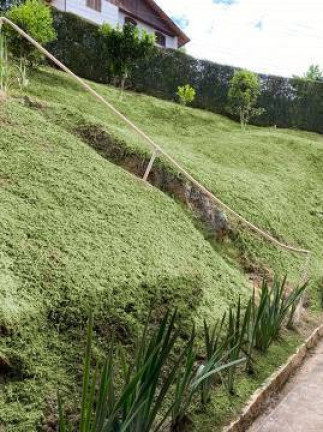 Imagem Casa com 3 Quartos à Venda, 500 m² em Cascatinha - Nova Friburgo