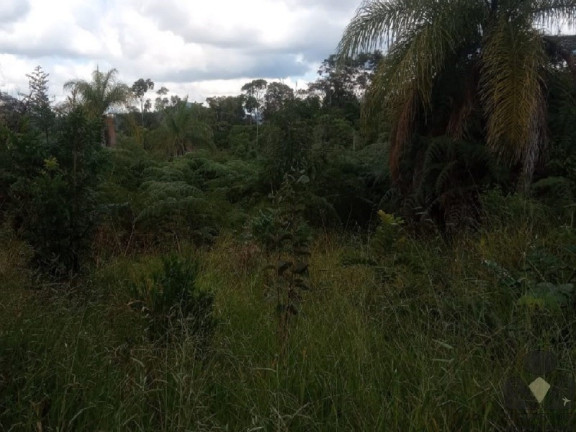 Imagem Imóvel à Venda, 20.000 m² em Roças Novas (caeté - Mg) - Caeté Imagem Imóvel à Venda, 20.000 m² em Roças Novas (caeté - Mg) - Caeté