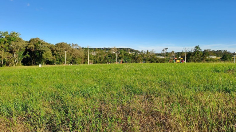 Imagem Terreno à Venda, 1.125 m² em Linha Santa Cruz - Santa Cruz Do Sul Imagem Terreno à Venda, 1.125 m² em Linha Santa Cruz - Santa Cruz Do Sul