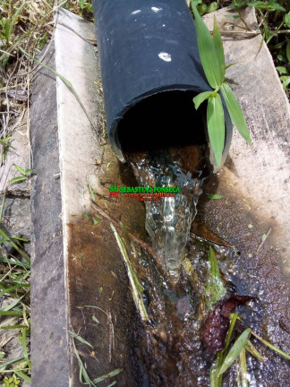Imagem Chácara à Venda, 20.000 m² em São Silvestre (são Silvestre) - Jacareí Imagem Chácara à Venda, 20.000 m² em São Silvestre (são Silvestre) - Jacareí