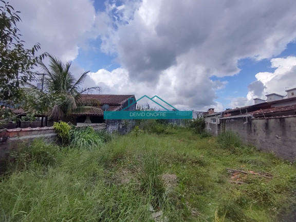 Imagem Terreno à Venda, 300 m² em Massaguaçu - Caraguatatuba