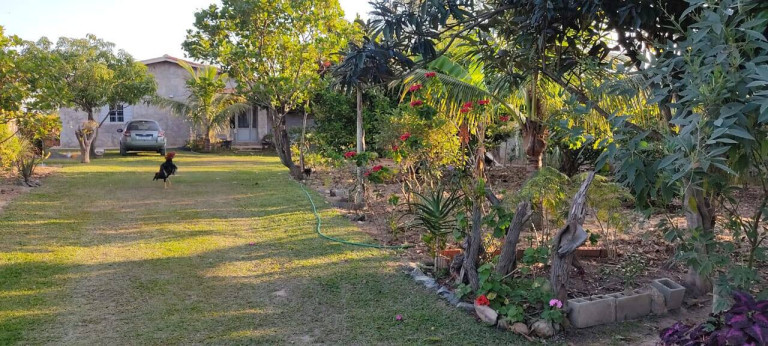 Imagem Chácara com 2 Quartos à Venda, 1.080 m² em Zona Rural - Araçoiaba Da Serra