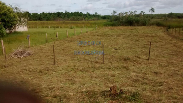 Terreno à Venda, 6.000 m² em Sorocabinha - Iguape