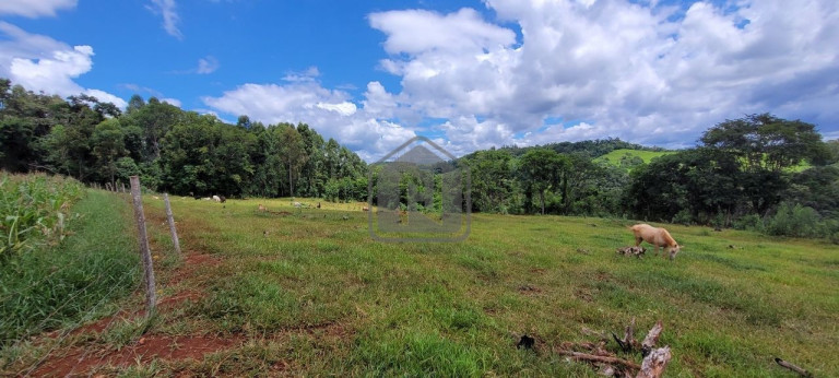 Imagem Imóvel à Venda, 2 m² em Presidente - Cascavel Imagem Imóvel à Venda, 2 m² em Presidente - Cascavel