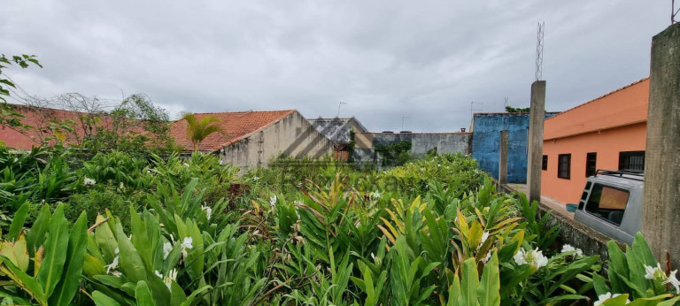 Terreno à Venda, 279 m² em Jardim Luíza Mar Mirim - Itanhaém