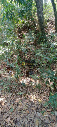 Imagem Imóvel com 3 Quartos à Venda, 532.400 m² em Itaqueri Da Serra - Itirapina