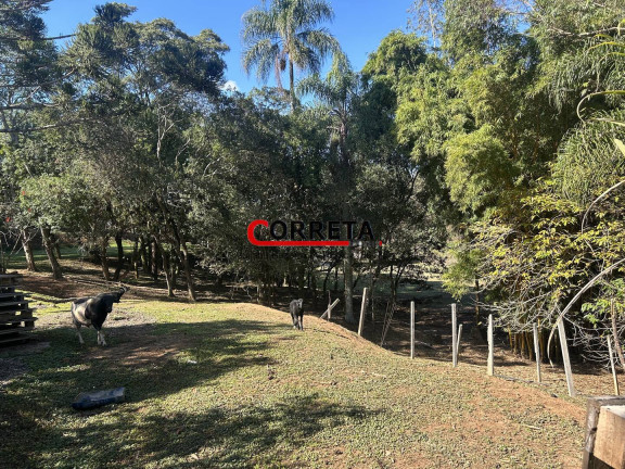 Imagem Casa com 3 Quartos à Venda, 9.200 m² em Bunjiro Nakao - Ibiúna Imagem Casa com 3 Quartos à Venda, 9.200 m² em Bunjiro Nakao - Ibiúna