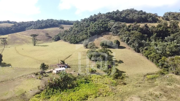Imagem Imóvel à Venda, 7 m² em Campestrinho - Divinolândia Imagem Imóvel à Venda, 7 m² em Campestrinho - Divinolândia