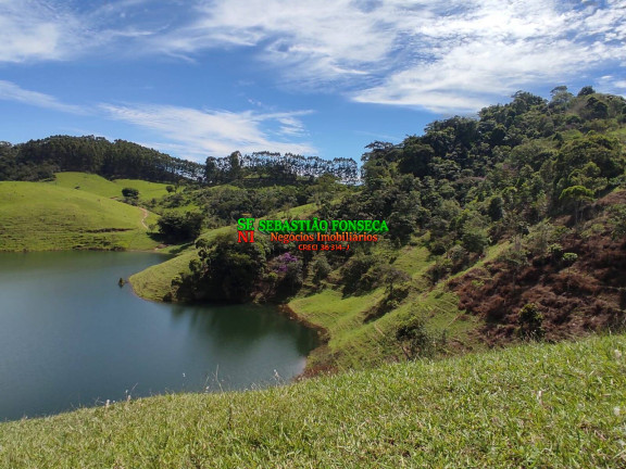 Imagem Chácara à Venda, 20.000 m² em Centro - Paraibuna
