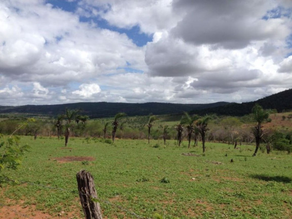 Imagem Fazenda à Venda, 200 m² em Br 116 - Euclides Da Cunha Imagem Fazenda à Venda, 200 m² em Br 116 - Euclides Da Cunha