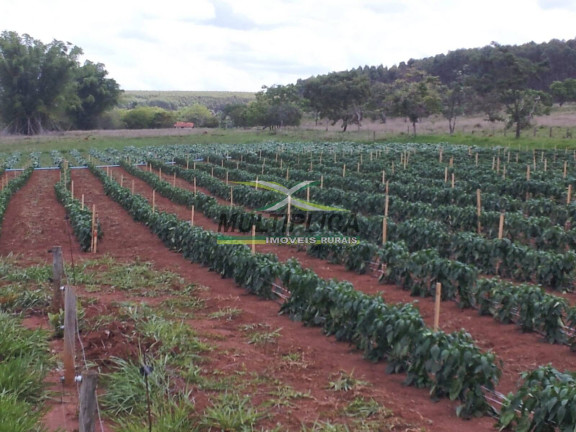 Imagem Chácara à Venda, 25 m² em Uberlândia Imagem Chácara à Venda, 25 m² em Uberlândia