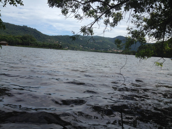 Imagem Terreno à Venda, 12.660 m² em Lagoa Da Conceição - Florianópolis Imagem Terreno à Venda, 12.660 m² em Lagoa Da Conceição - Florianópolis