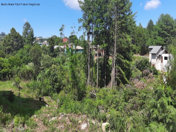 Imagem Terreno à Venda, 405 m² em Linha Imperial - Nova Petrópolis