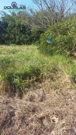 Imagem Terreno à Venda, 300 m² em Viamão Imagem Terreno à Venda, 300 m² em Viamão