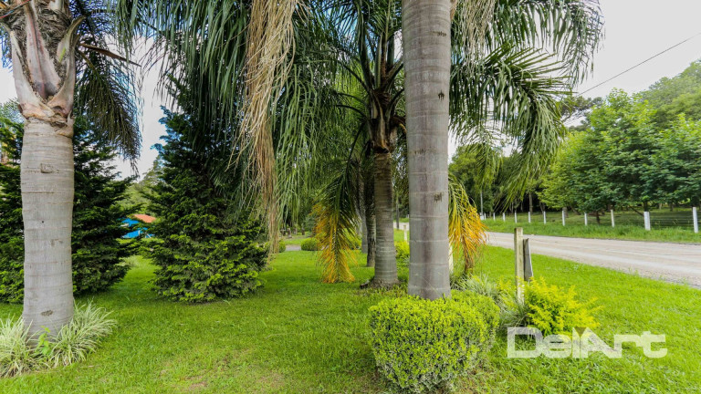 Imagem Chácara com 3 Quartos à Venda, 155 m² em Fazendinha - Rio Negro