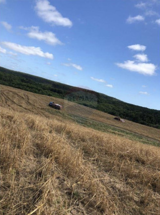 Imagem Fazenda à Venda, 825.000 m² em Zona Rural - Encruzilhada Do Sul