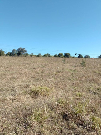 Imagem Fazenda à Venda, 9 m² em Centro - Elias Fausto