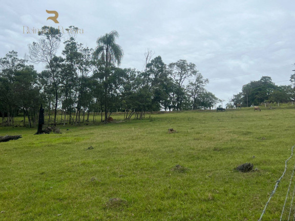 Imagem Chácara com 2 Quartos à Venda, 32.000 m² em Fazenda Fialho - Taquara