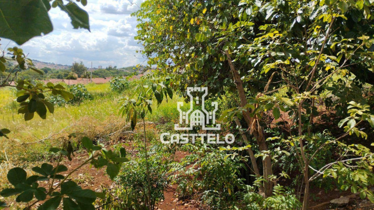 Imagem Terreno à Venda, 250 m² em Esperança - Ibiporã Imagem Terreno à Venda, 250 m² em Esperança - Ibiporã