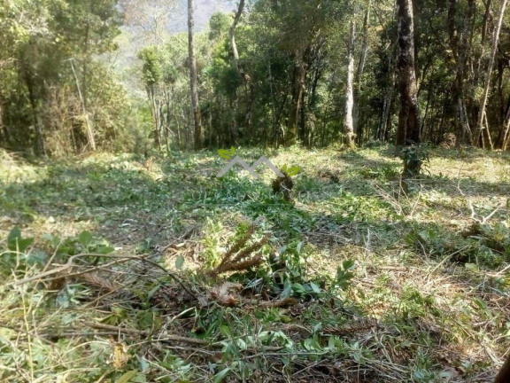 Imagem Terreno à Venda, 1 m² em Cidade Do Sol Ii - Campos Do Jordão Imagem Terreno à Venda, 1 m² em Cidade Do Sol Ii - Campos Do Jordão
