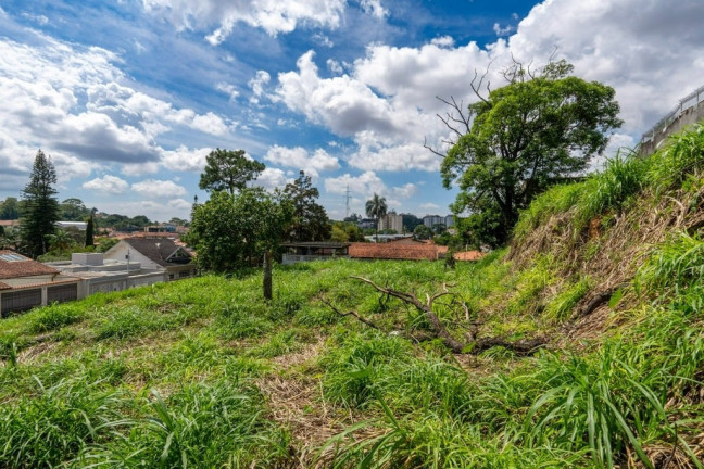 Imagem Terreno à Venda, 938 m² em Vila Albertina - São Paulo Imagem Terreno à Venda, 938 m² em Vila Albertina - São Paulo