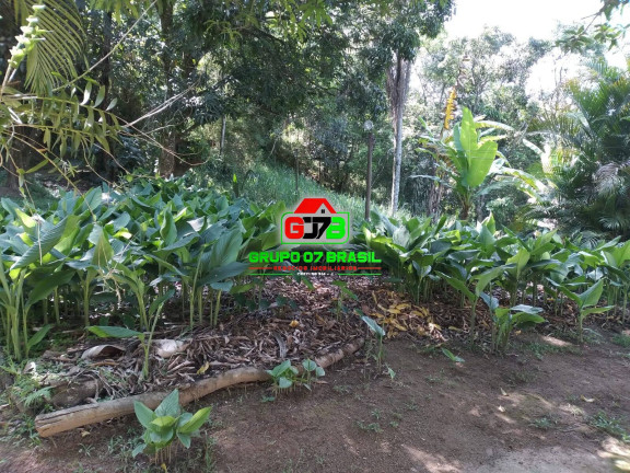 Imagem Chácara à Venda, 3.000 m² em Centro - Monteiro Lobato Imagem Chácara à Venda, 3.000 m² em Centro - Monteiro Lobato