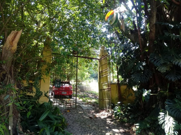Imagem Casa com 4 Quartos à Venda, 600 m² em Ponta Grossa - Porto Alegre